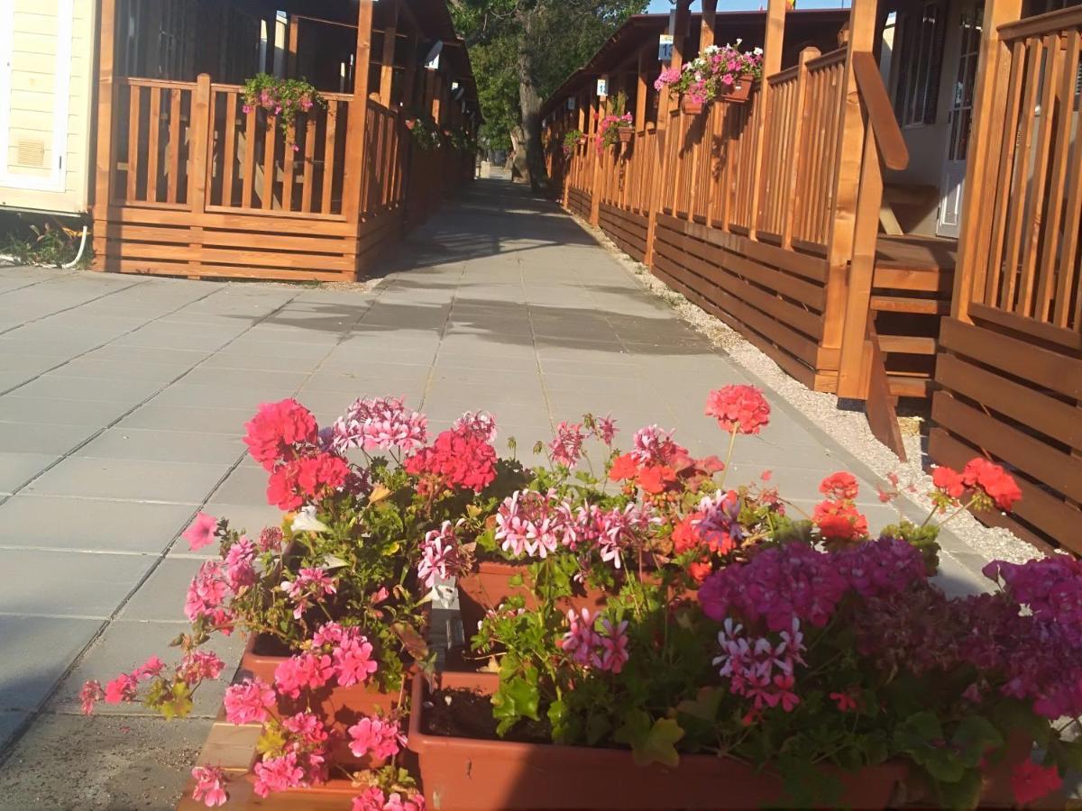 Villaggio Degli Angeli Scerne Pineto Exteriör bild