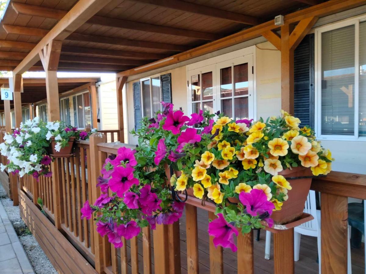 Villaggio Degli Angeli Scerne Pineto Exteriör bild