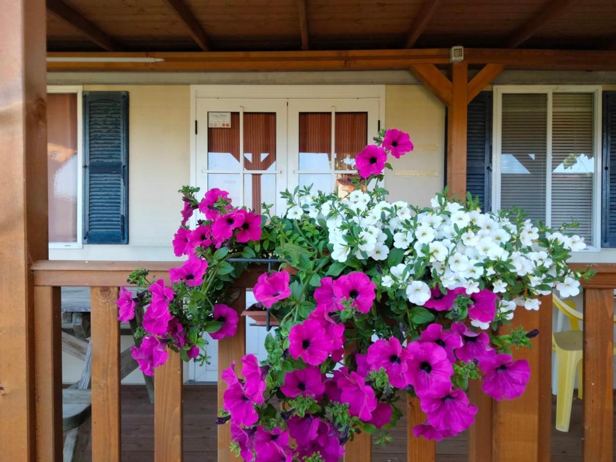 Villaggio Degli Angeli Scerne Pineto Exteriör bild